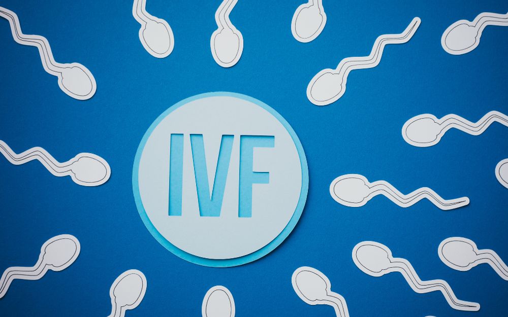 What is In Vitro Fertilization (IVF)?